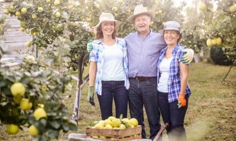 Família S/A - Família empresária