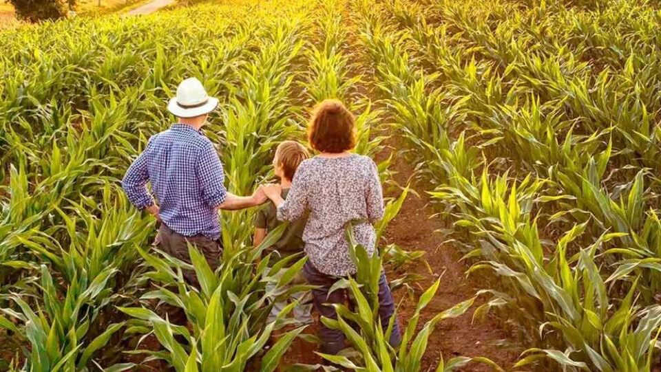 Sucessão no campo do agro