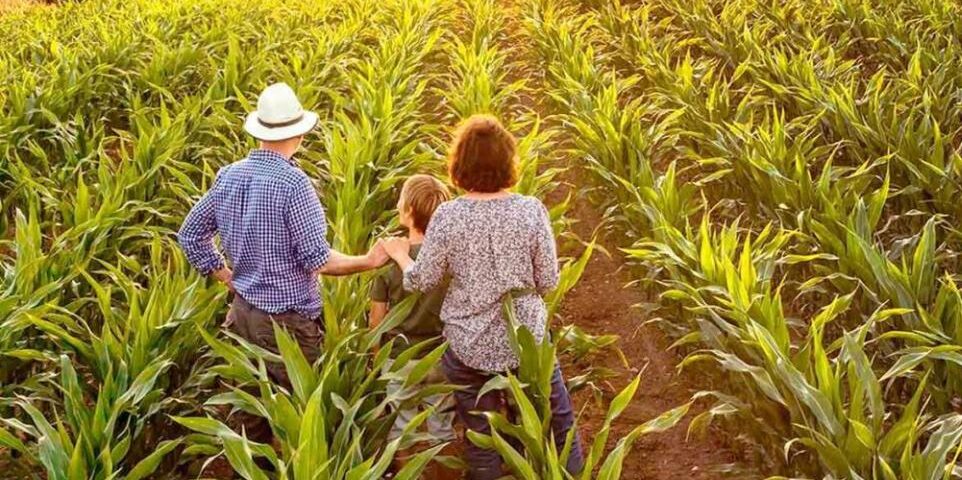 Sucessão no campo do agro